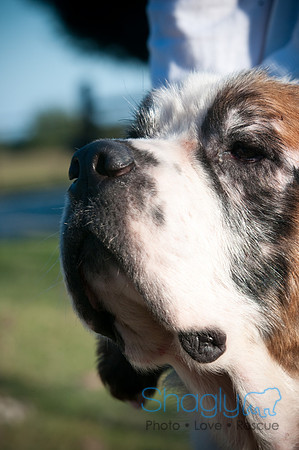 St.Clouds Rescue-0462