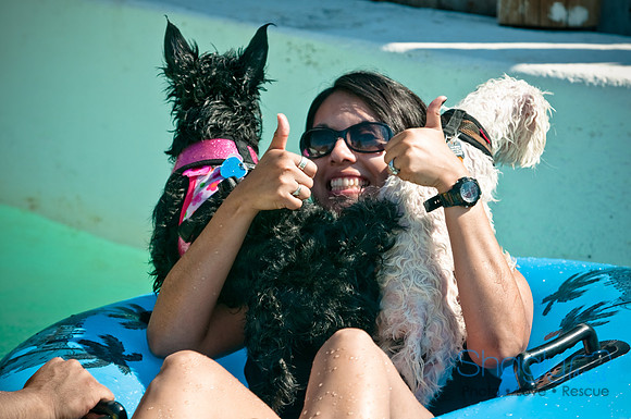 Wags and Waves-85