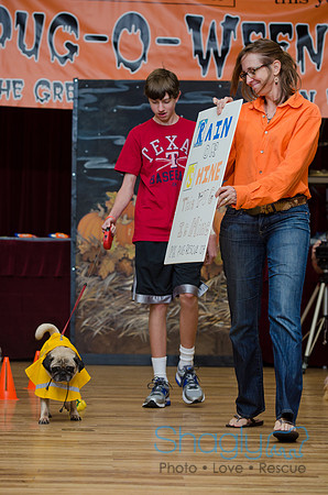 PugOween-136