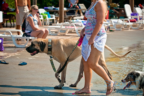 Wags and Waves-145