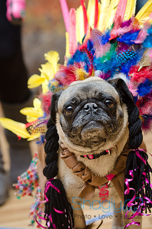 PugOween-62