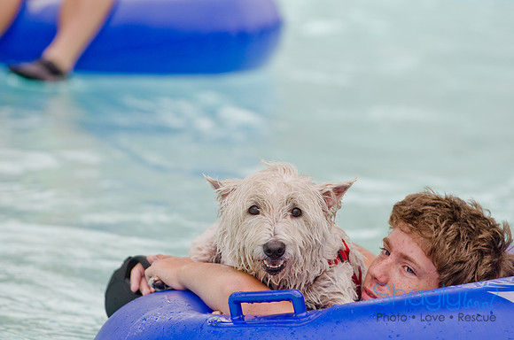 Wags and Waves 2011-106
