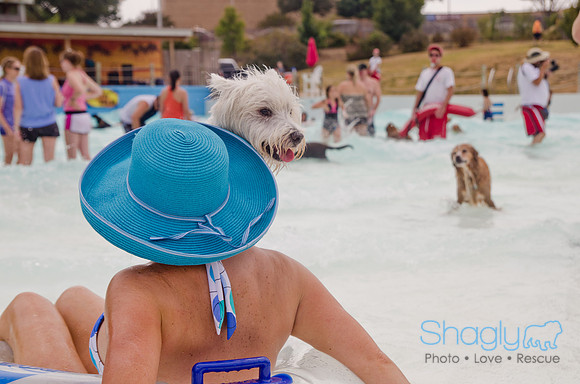 Wags and Waves 2011-267