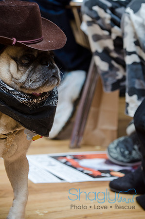 PugOween-79