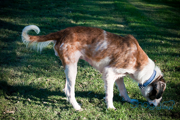 St.Clouds Rescue-0439