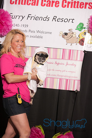 Project Pugway DFW Pug Rescue-19