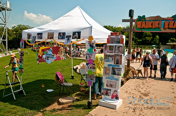 Wags and Waves-515