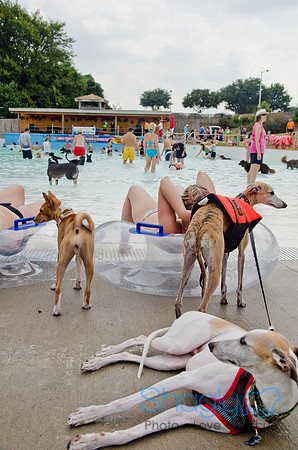 Wags and Waves 2011-366