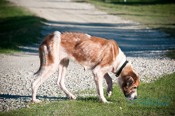 St.Clouds Rescue-0430