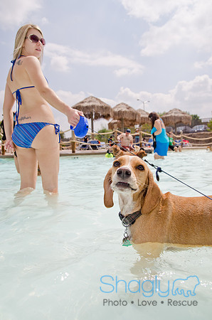Wags and Waves 2011-206
