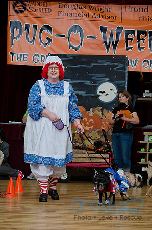 PugOween-227