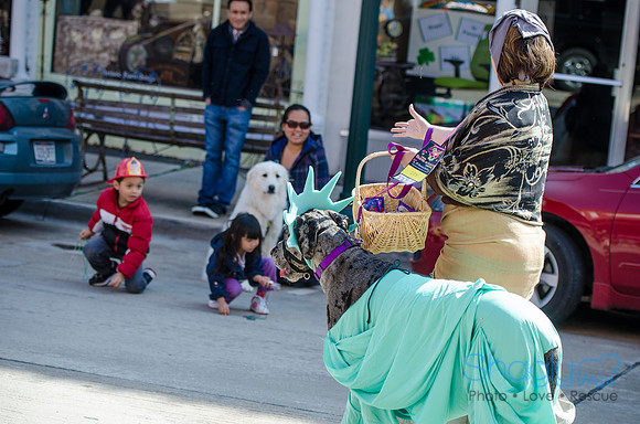 Krewe of Barkus 2012-160