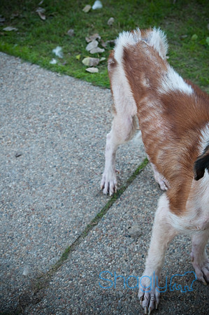 St.Clouds Rescue-0520