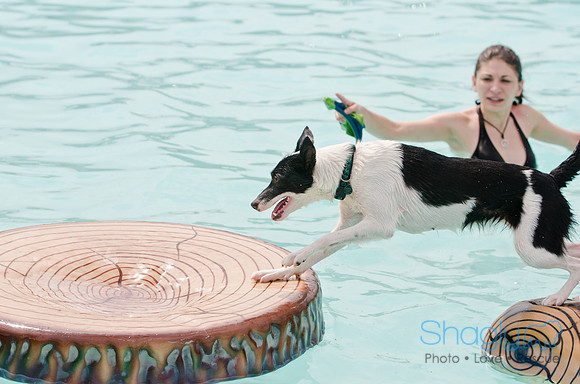 Wags and Waves 2011-169