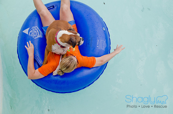 Wags and Waves 2011-330