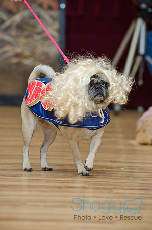 PugOween-123