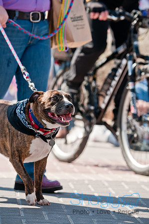 Krewe of Barkus 2011-137