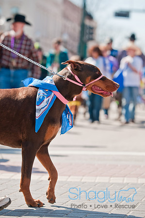 Krewe of Barkus 2011-135