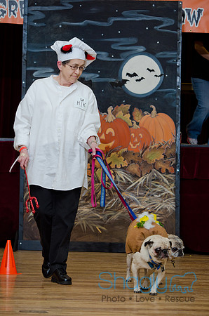 PugOween-186