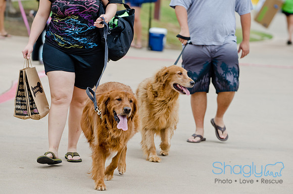 Wags and Waves 2011-25