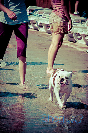 Wags & Waves-54