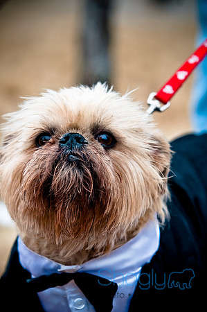 Krewe of Barkus-107