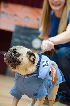PugOween-29
