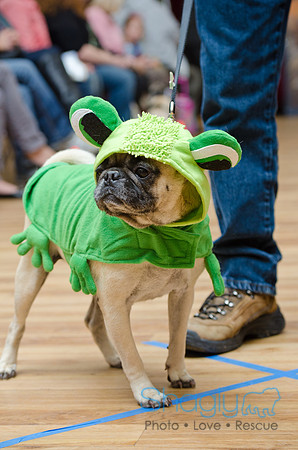 PugOween-94