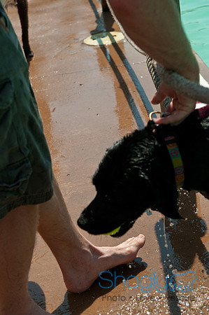 Wags and Waves-282
