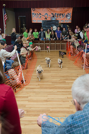 PugOween-6