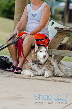Wags and Waves 2011-490