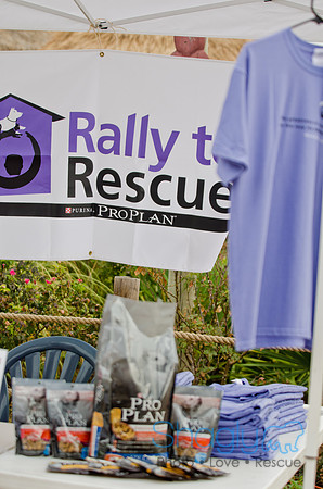 Wags and Waves 2011-34