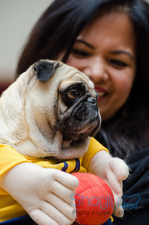 PugOween-130