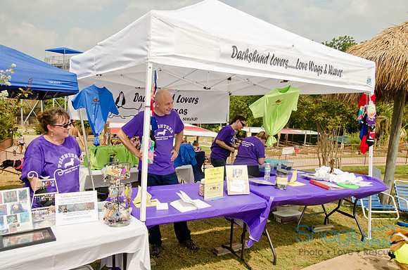 Wags and Waves 2011-387