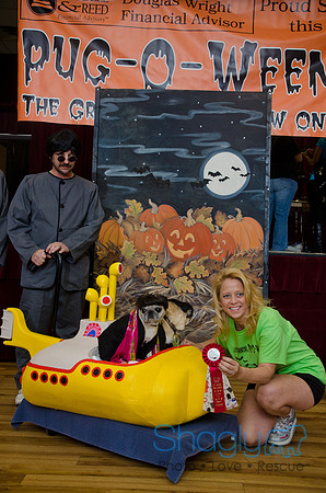 PugOween-248