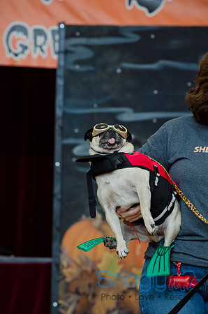 PugOween-182