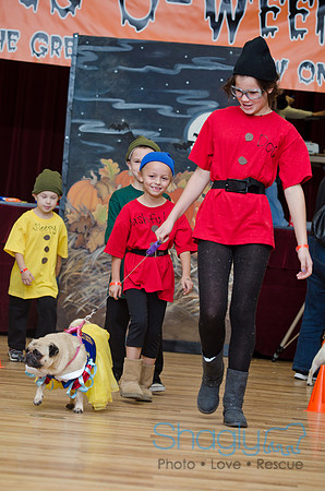 PugOween-89
