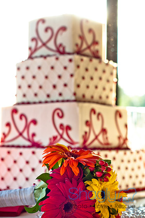Talia and Ramon Wedding-254