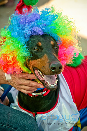 bark in the park 2010-19