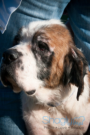 St.Clouds Rescue-0454