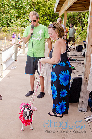 Wags and Waves 2011-395