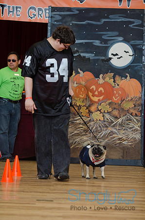 PugOween-112