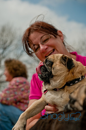 Pug Love Fun Run-223