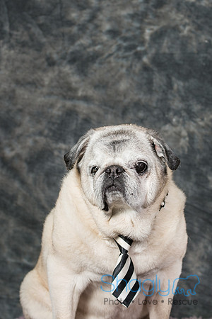 Baxter DeBacker