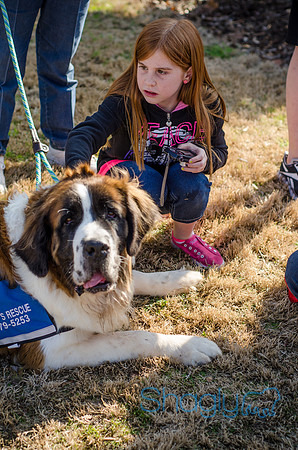 Krewe of Barkus 2012-340