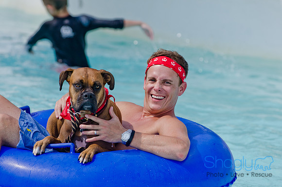 Wags and Waves 2011-458