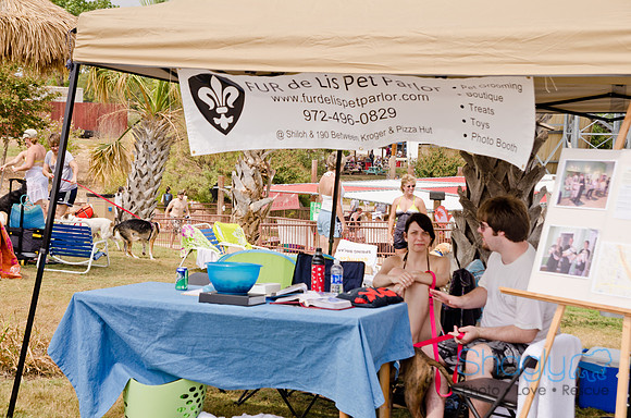 Wags and Waves 2011-241