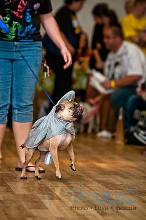 PugOWeen-18