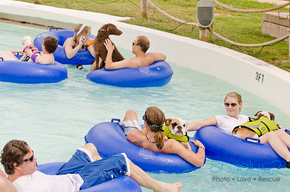 Wags and Waves 2011-96