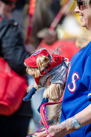 Krewe of Barkus 2012-20